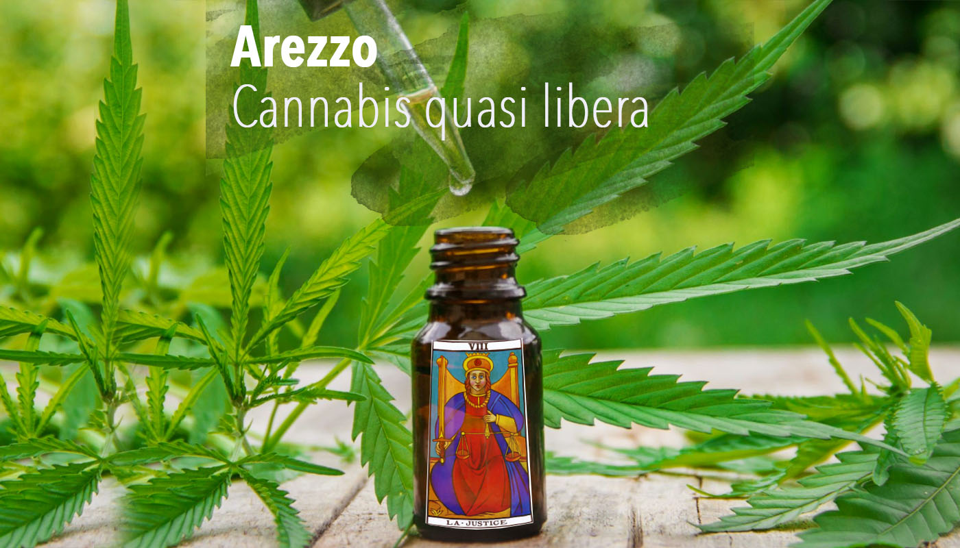 Arezzo – Cannabis quasi libera